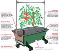 NEW-illustration-w-description-earthbox