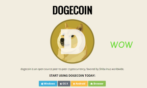 Doge coin