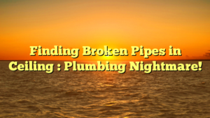Finding Broken Pipes in Ceiling : Plumbing Nightmare!