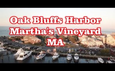 Oak Bluffs Harbor – Martha’s Vineyard, MA – Drone