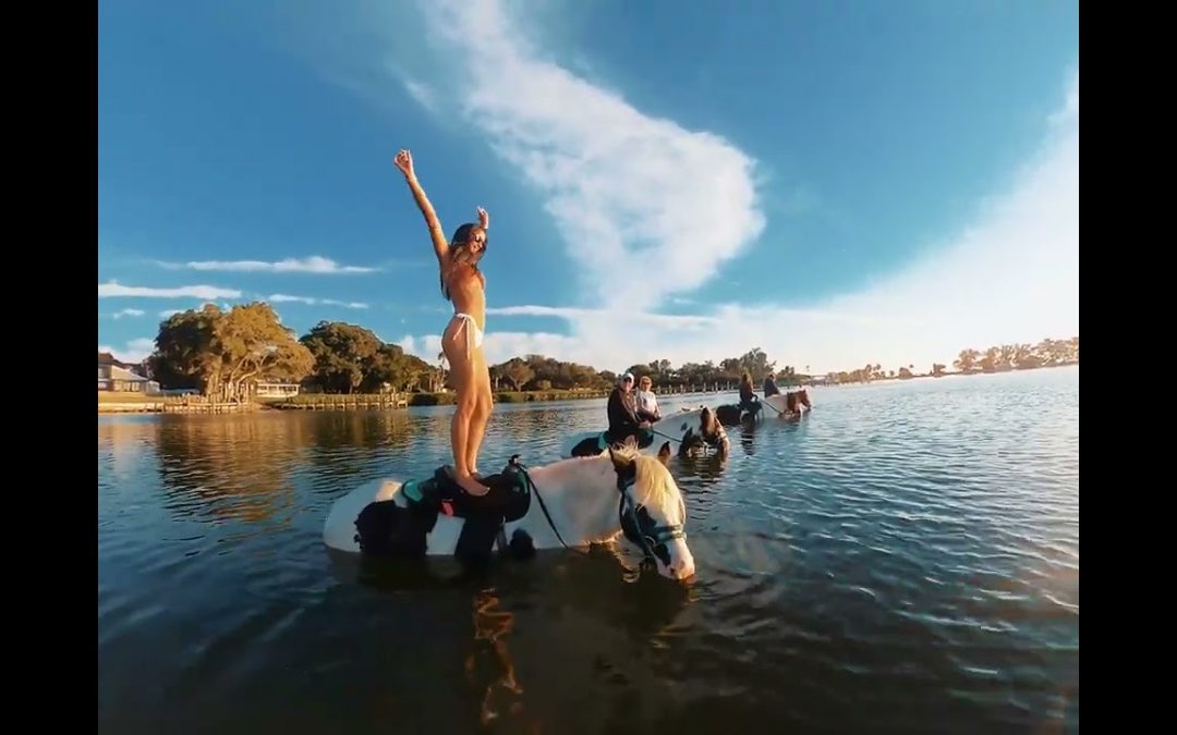 Horse Ride in the Ocean, Standing on a Horse in Bradenton, Florida